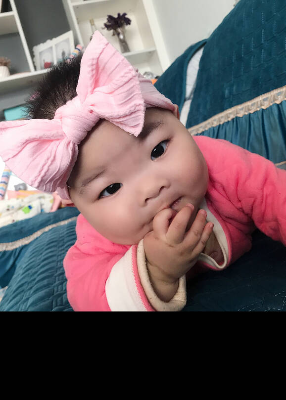 模特-