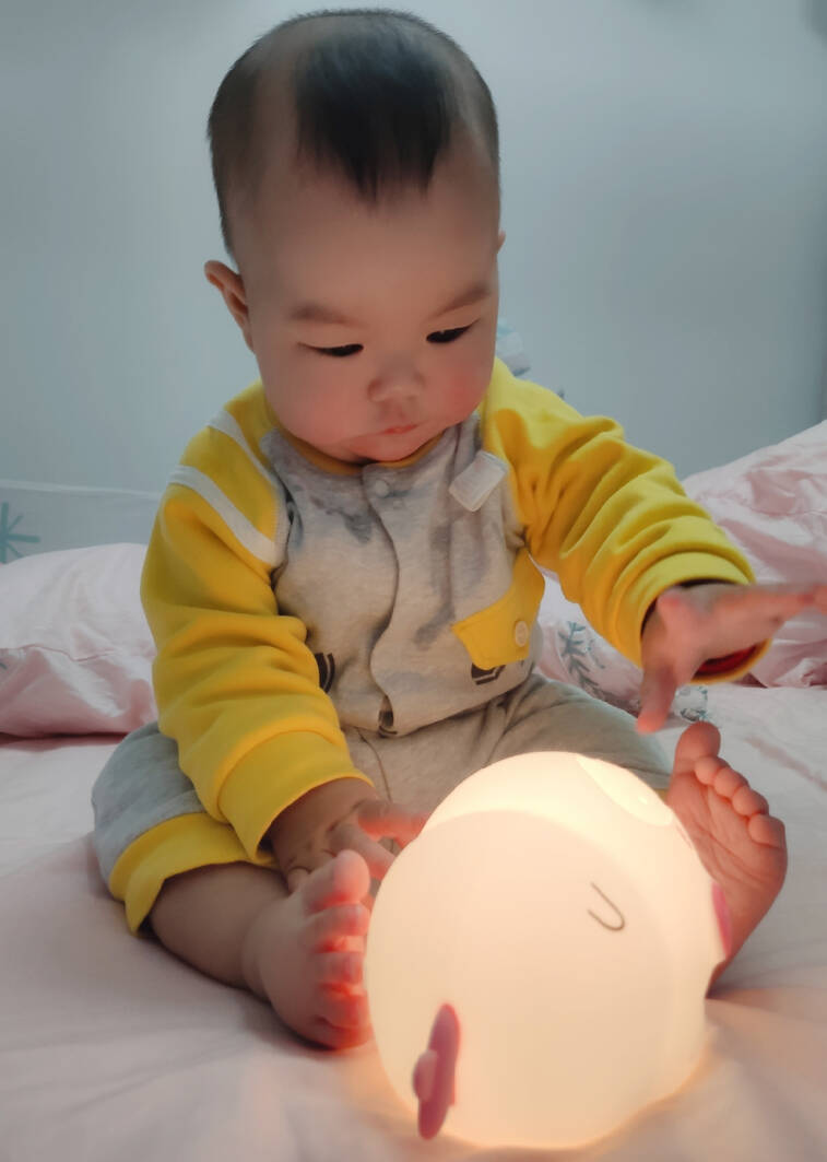 模特-