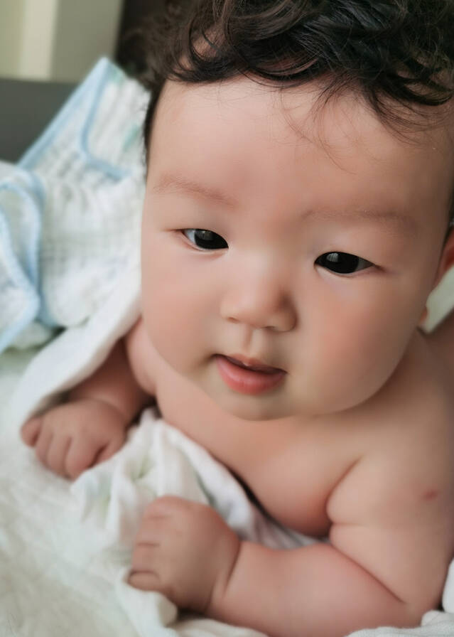 模特-