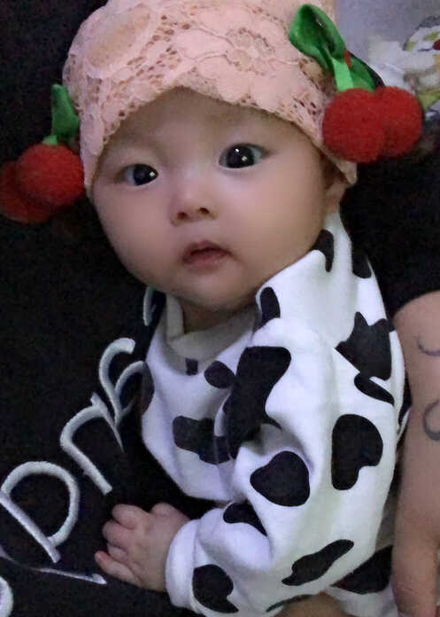 模特-