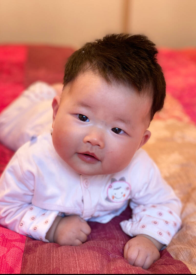 模特-