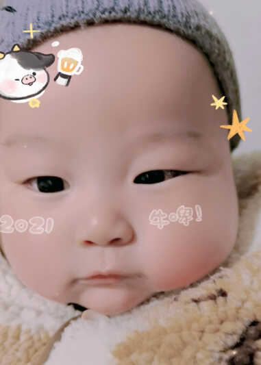 模特-