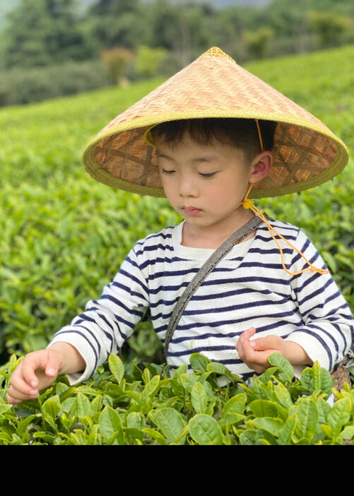 模特-