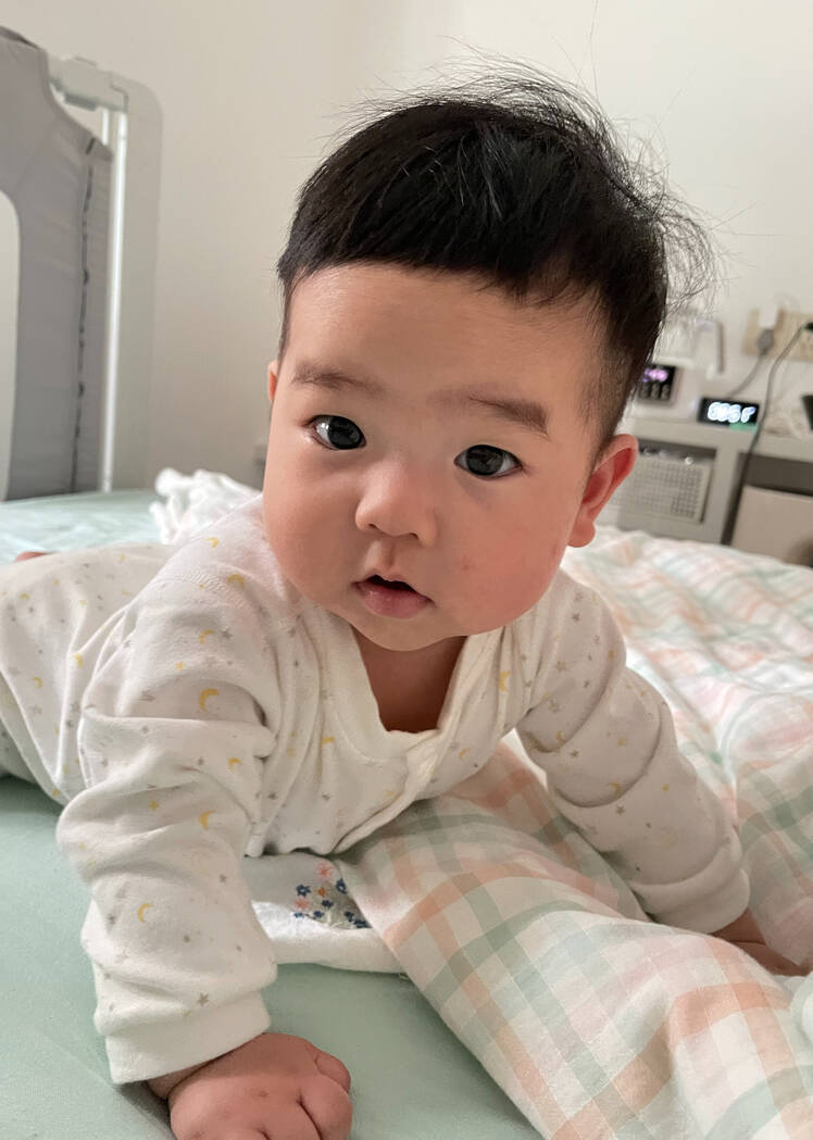 模特-