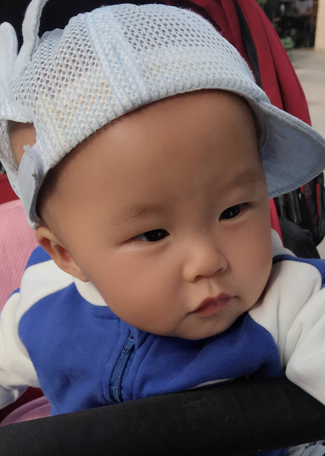 模特-