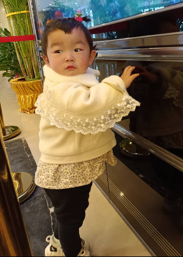 模特-