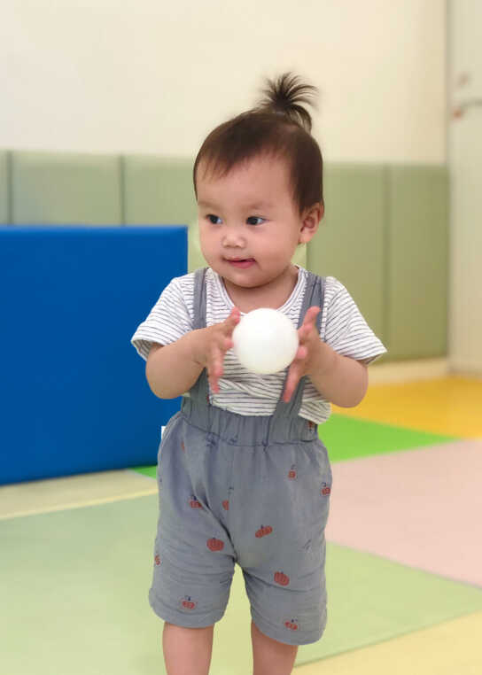 模特-