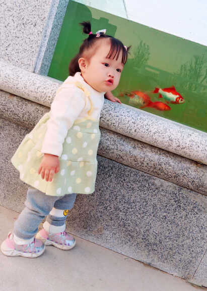 模特-