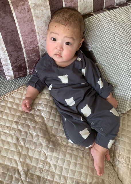 模特-