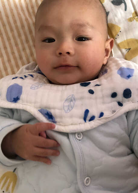 模特-