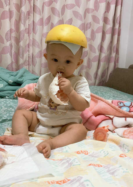 模特-