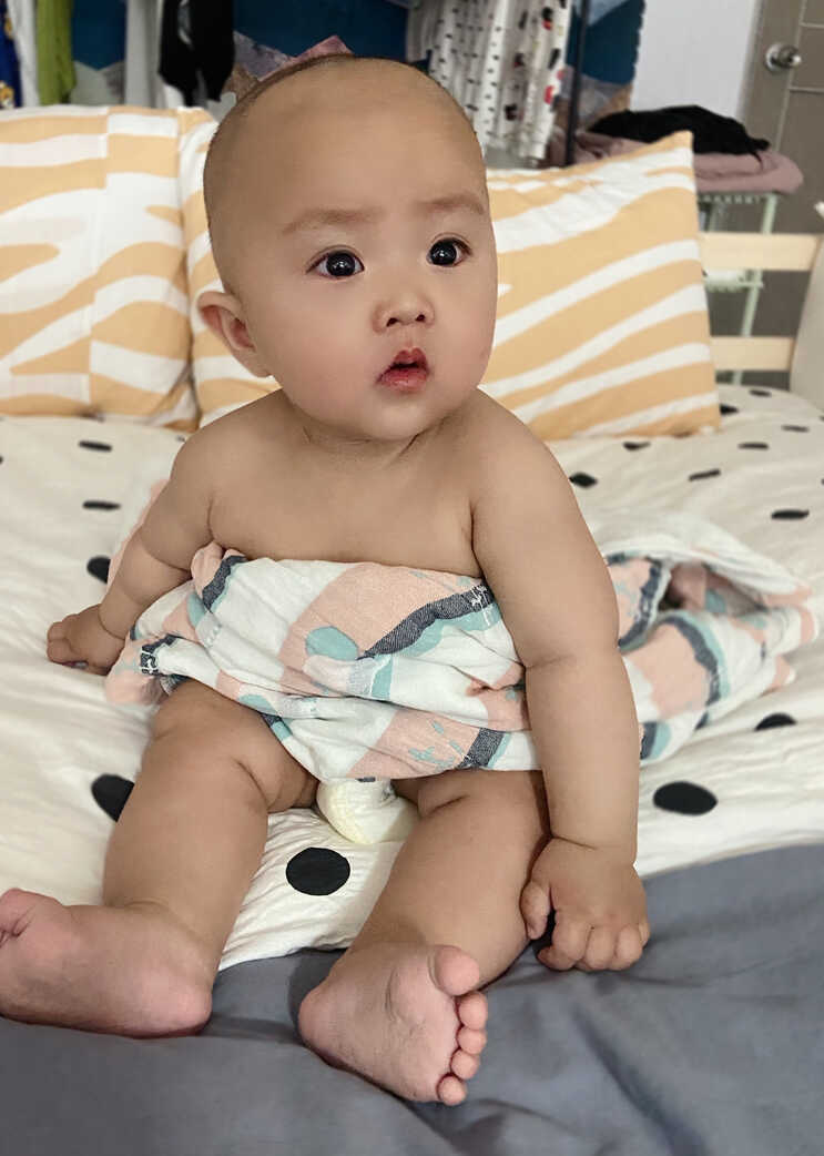 模特-