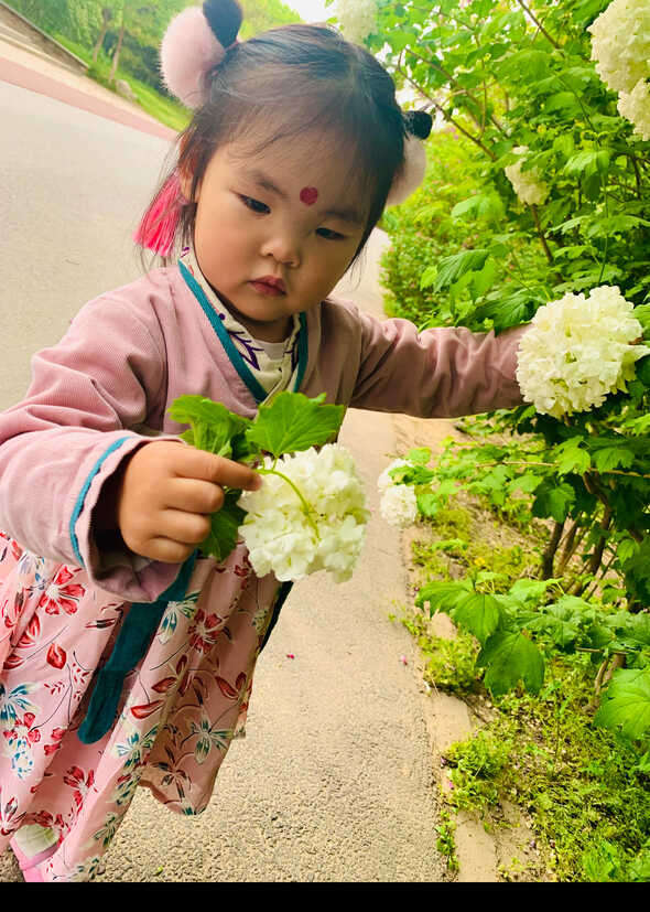 模特-