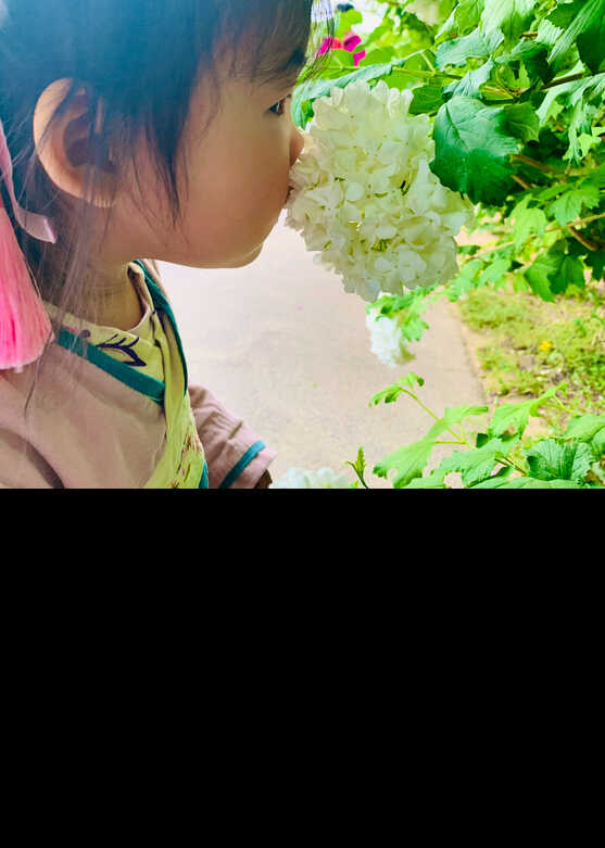 模特-