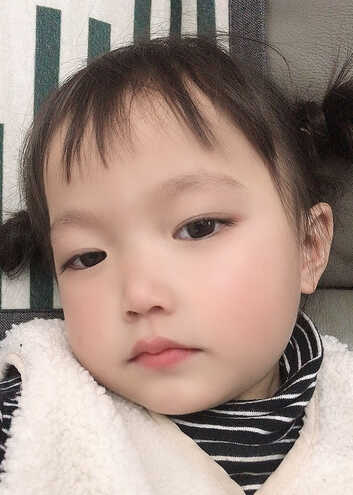 模特-