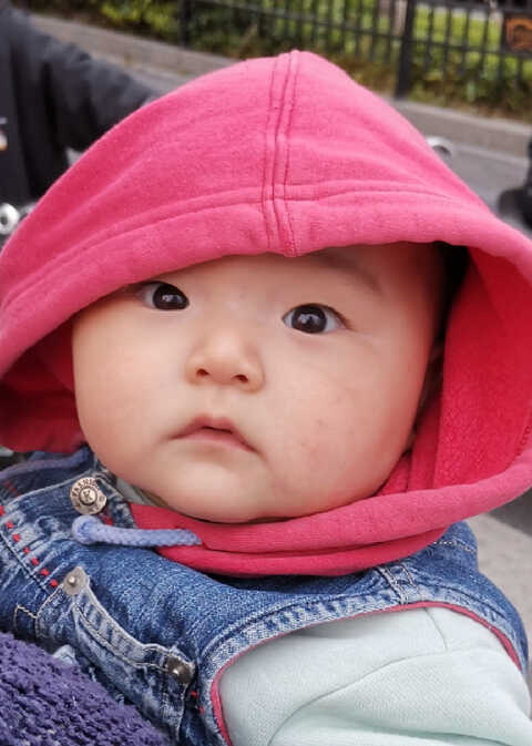 模特-