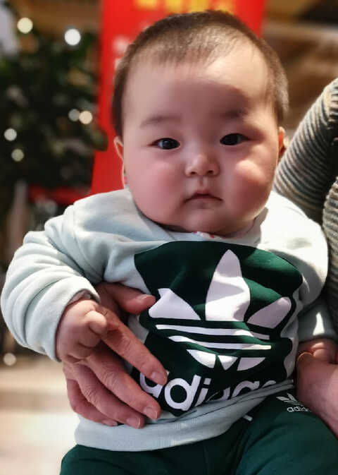 模特-
