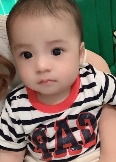 模特-