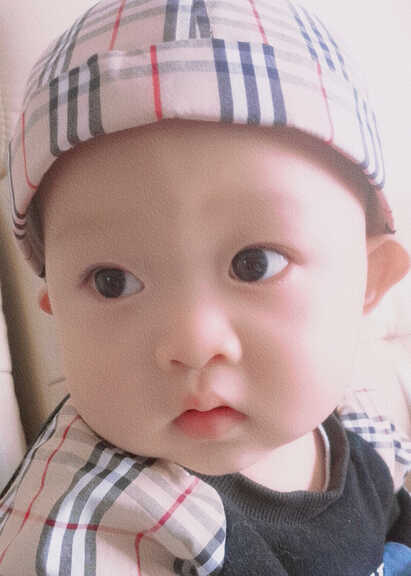 模特-