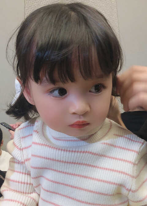 模特-
