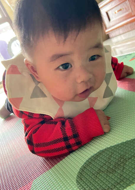 模特-