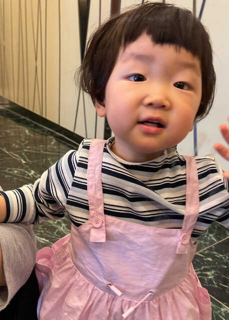 模特-