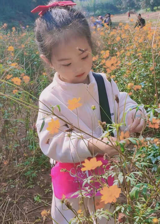 模特-