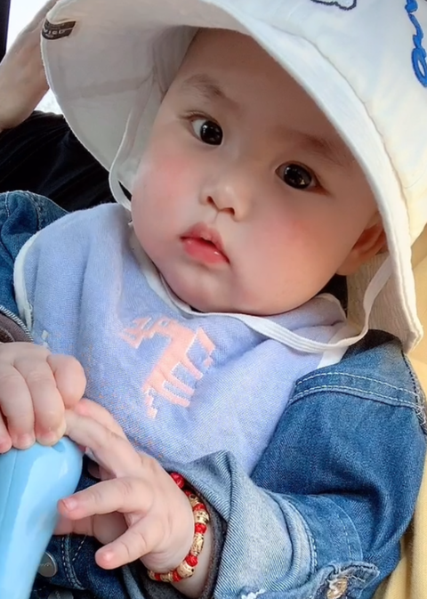 模特-