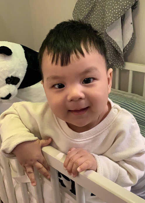 模特-