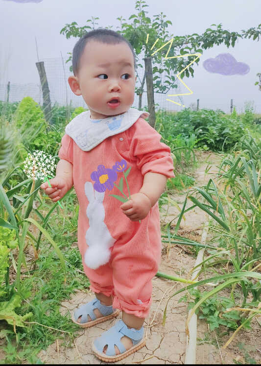 模特-