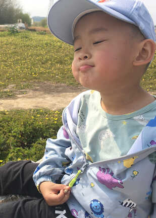 模特-