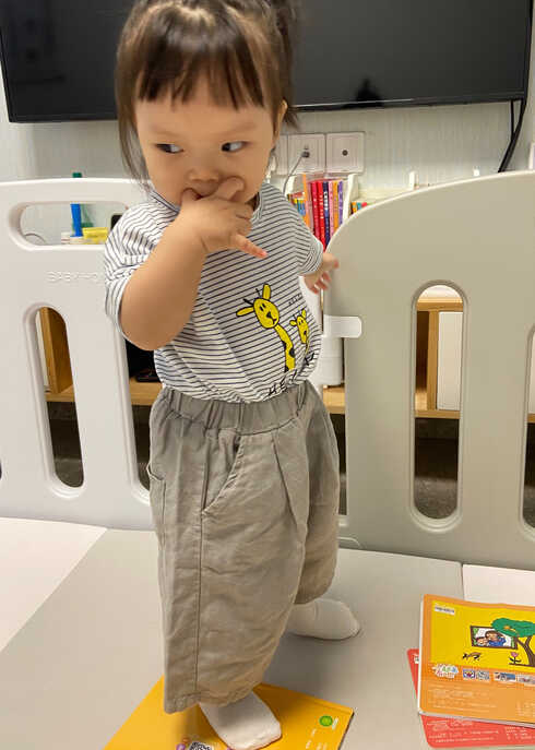 模特-