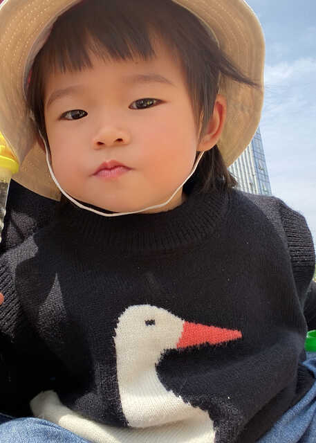模特-