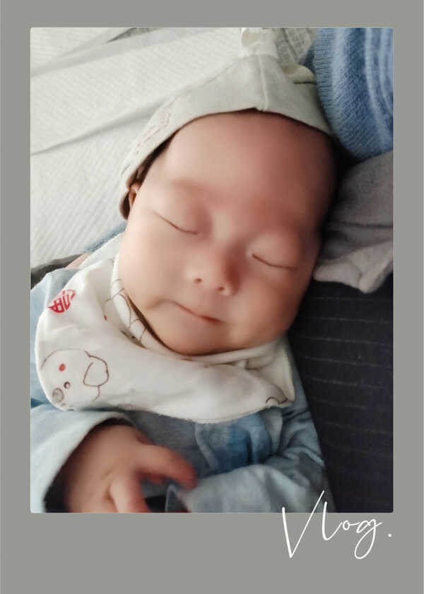 模特-
