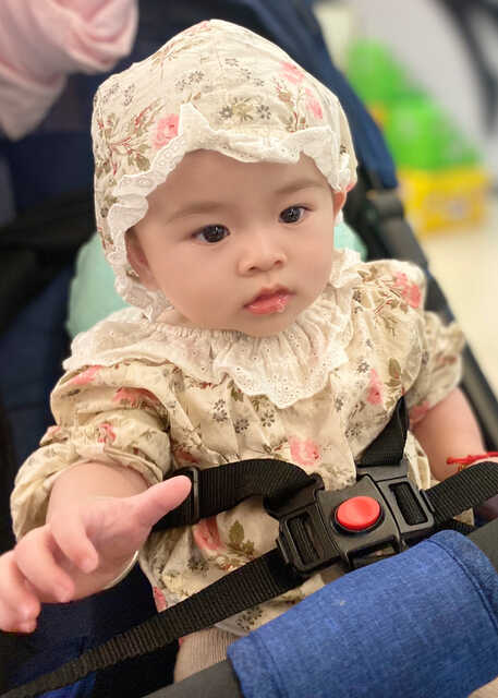 模特-