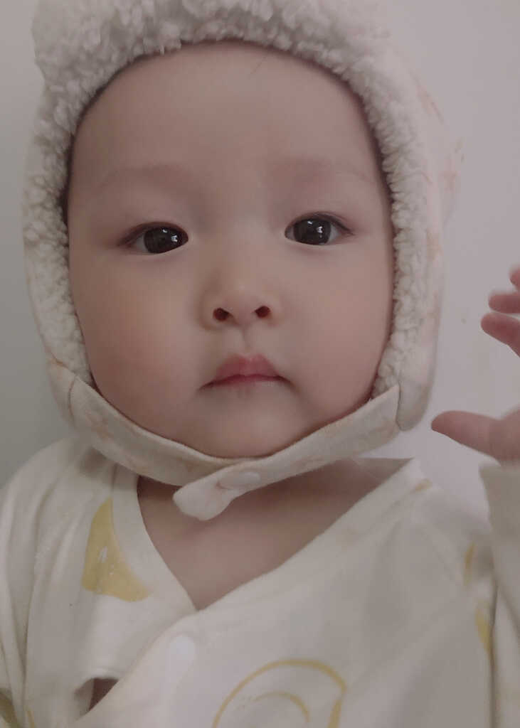 模特-