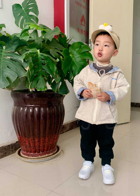 模特-