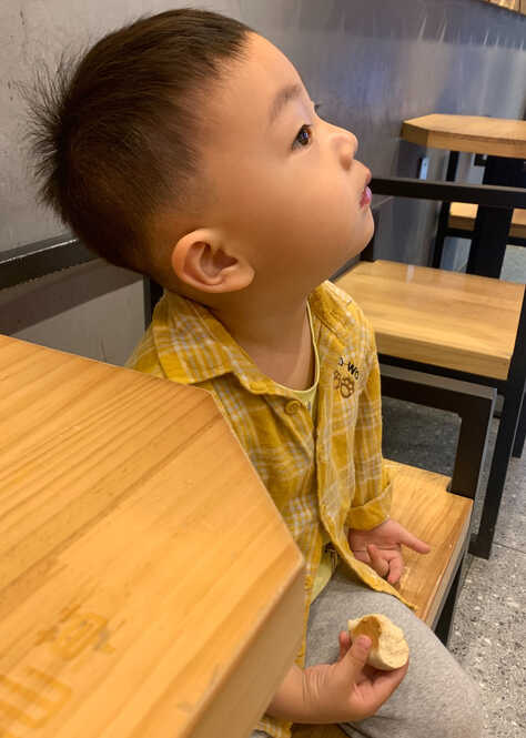 模特-