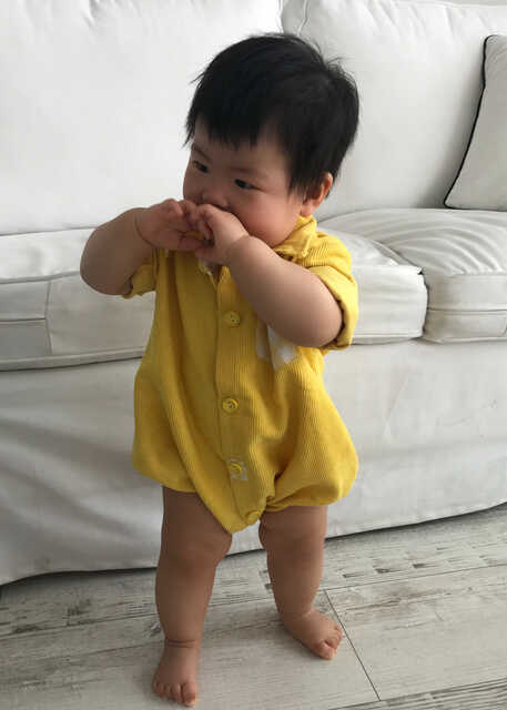 模特-