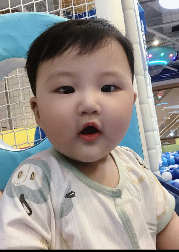 模特-