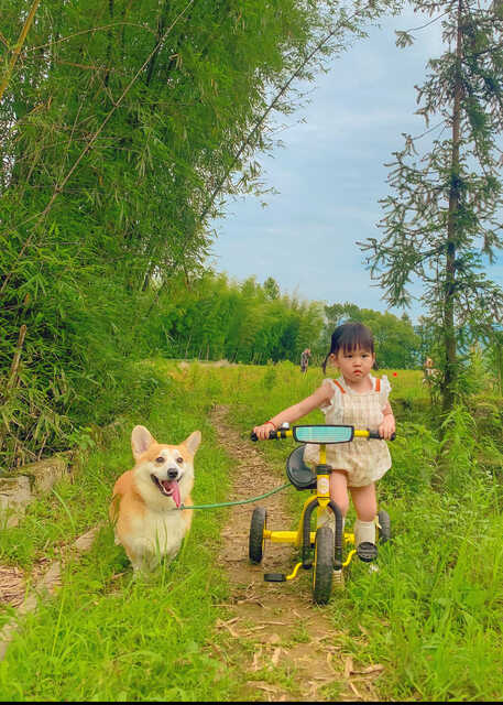 模特-