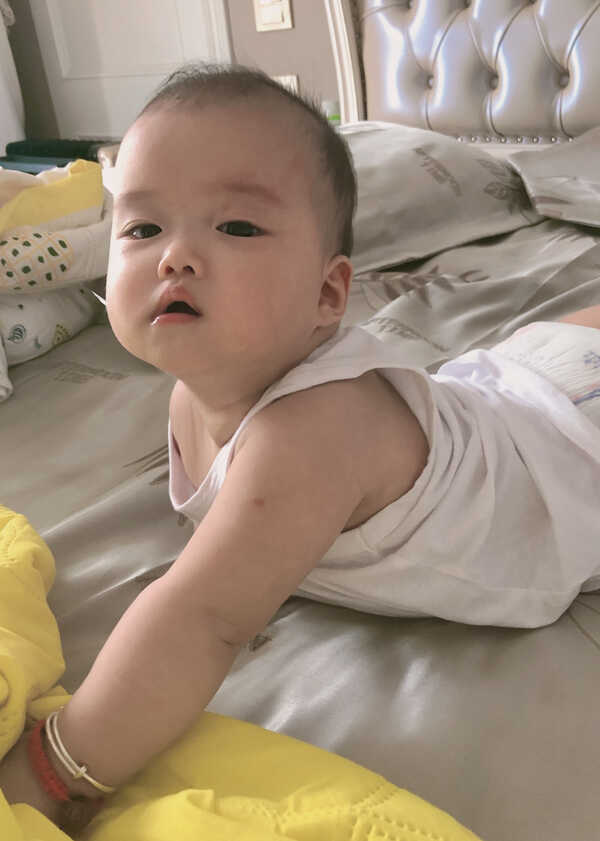 模特-