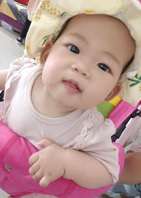 模特-