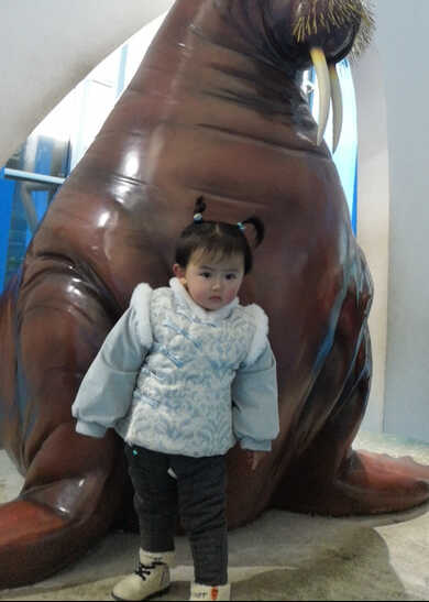 模特-