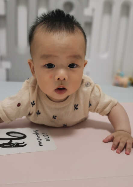 模特-