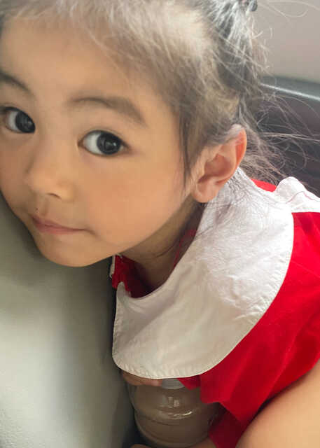 模特-