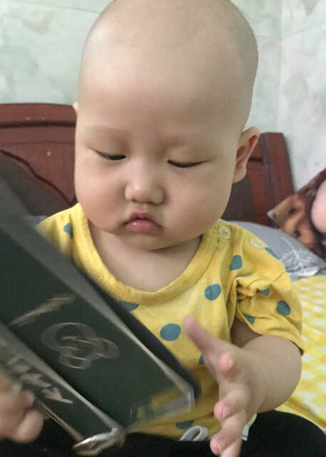 模特-