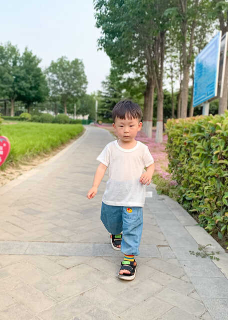 模特-