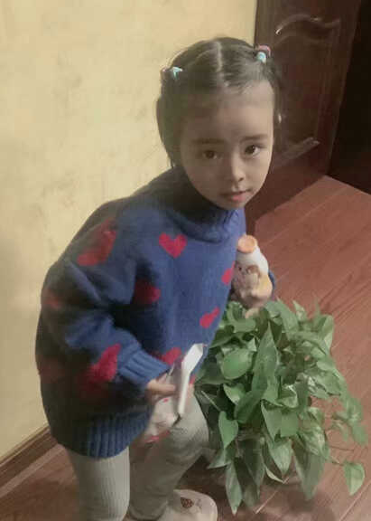 模特-