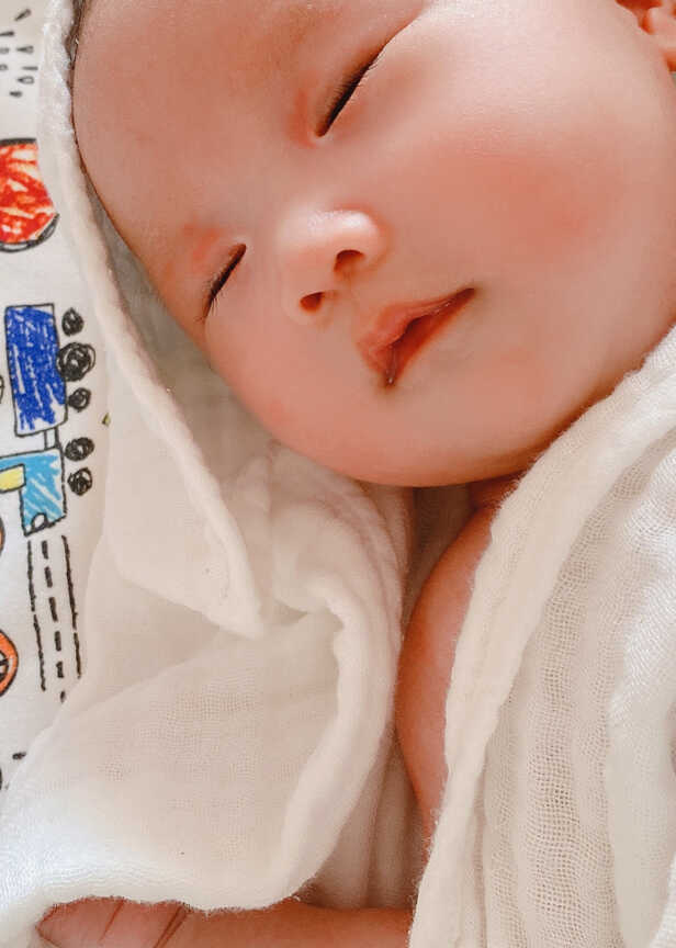 模特-